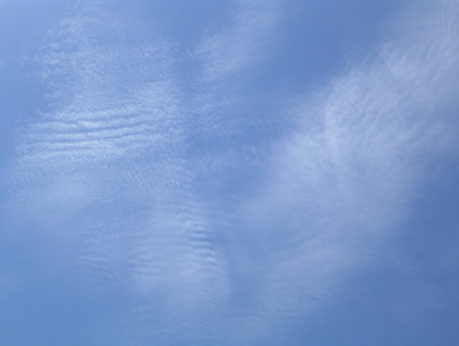 Cirrocumulus.