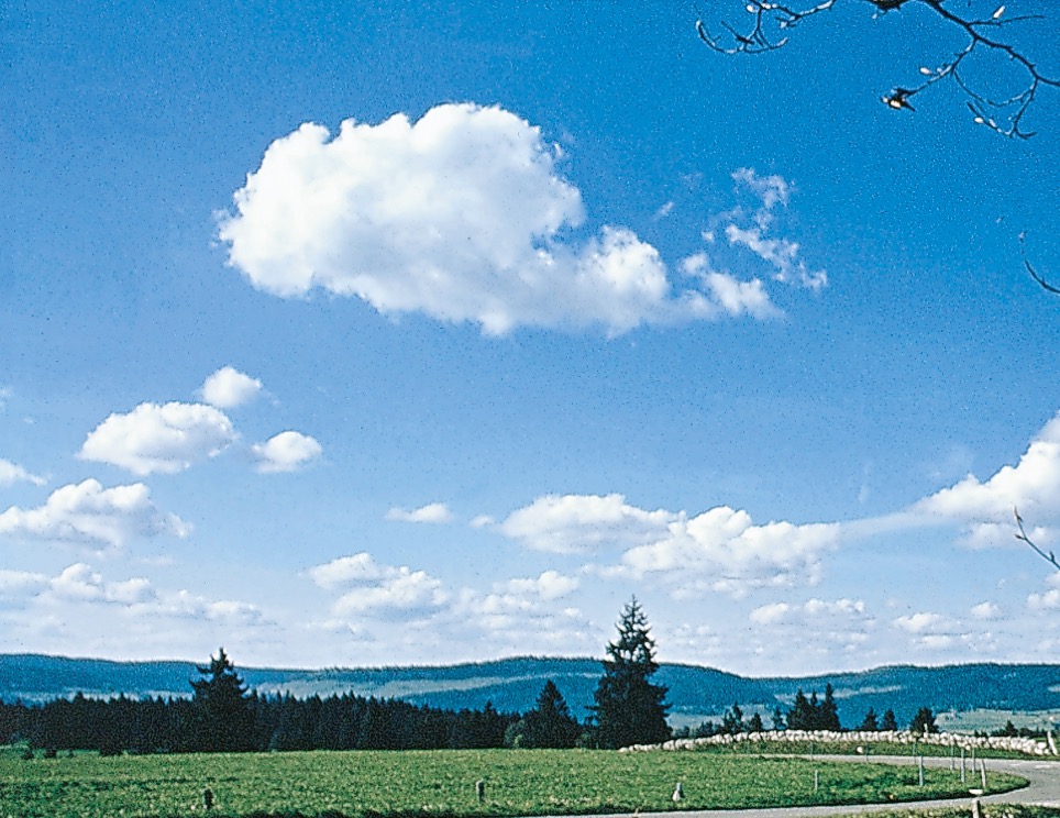 Cumulus humilis.