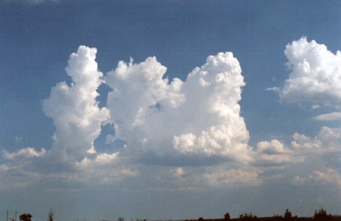 Cumulus congestus, ein aufgetürmter Cumulus.