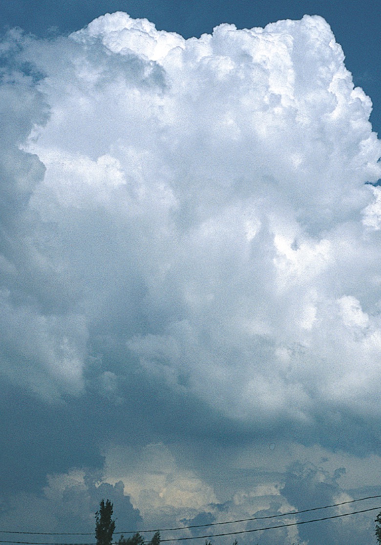 Aus diesem Cumulus congestus scheint sich ein Cumulonimbus zu entwickeln.