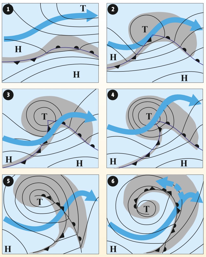 Entstehung einer Polarfrontzyklone (Typ A). Blau der Jetstream, grau das Niederschlagsgebiet.